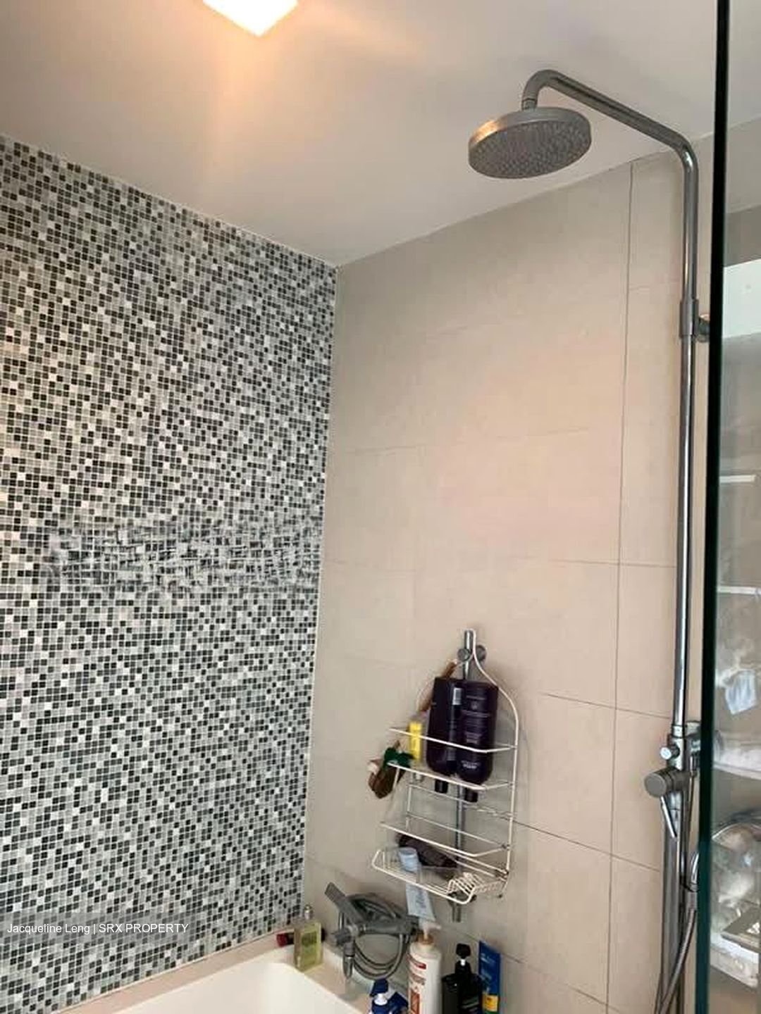 The Rochester Residences (D5), Apartment #577240051